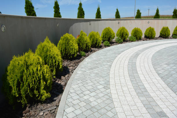 Best Decorative Driveway Pavers  in Jenison, MI